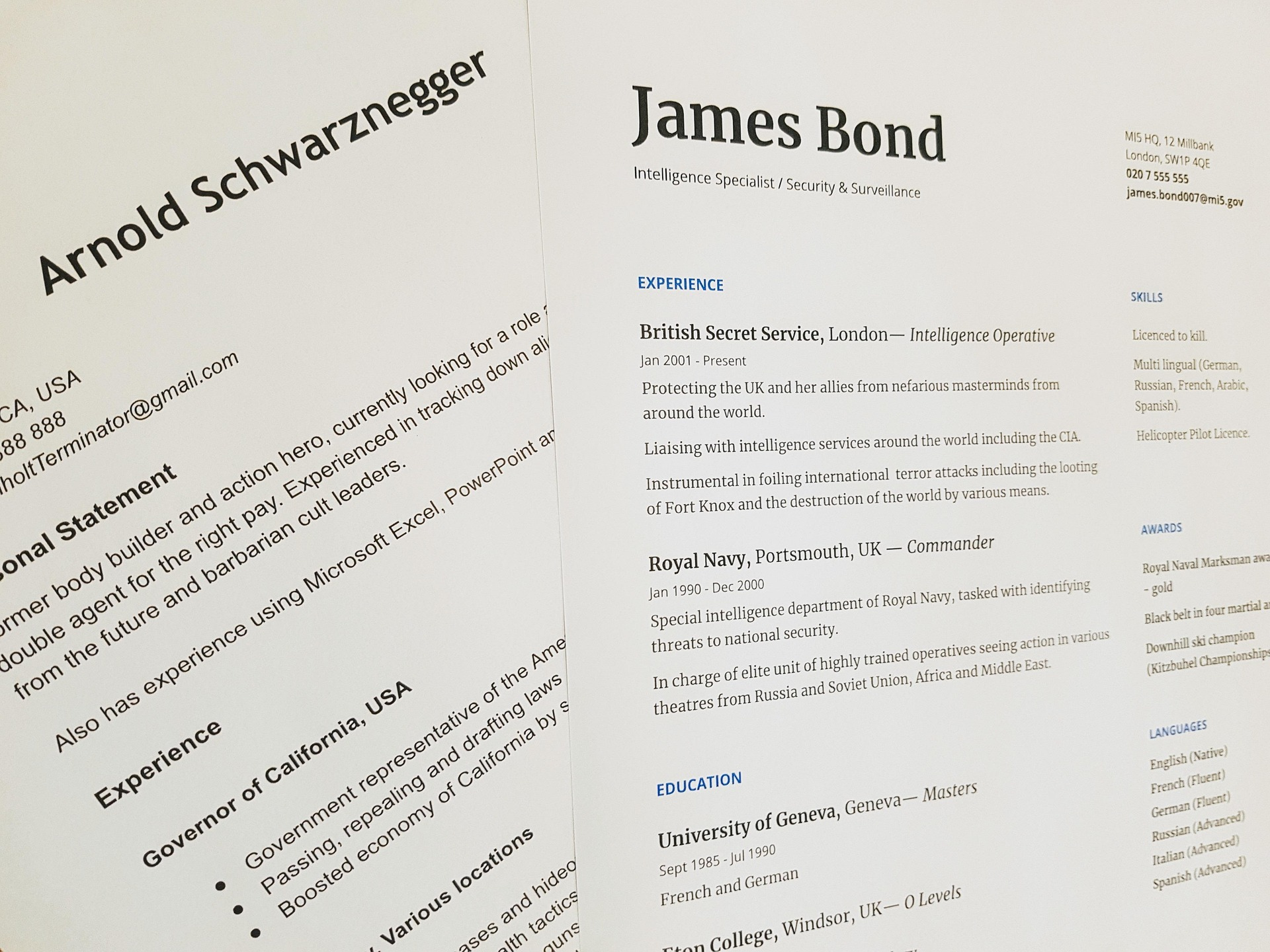 example of professional resume and tech portfolio layout for international students studying abroad